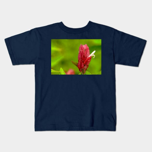 Tropical Shrimp Plant aka Justica Brandegeana Kids T-Shirt by Debra Martz